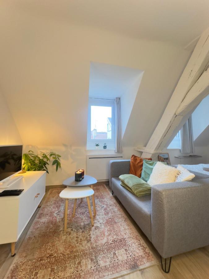 Le Charme Dubois Apartment Дижон Екстериор снимка